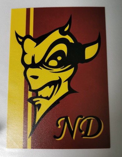 Autocollants north devils - autocollants,