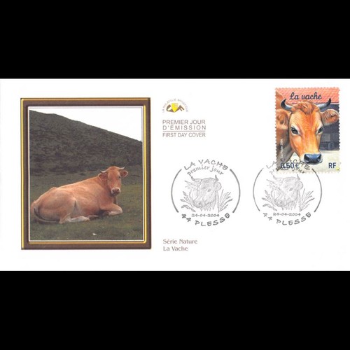 Cef vache 24 - cef, 24/4/2004