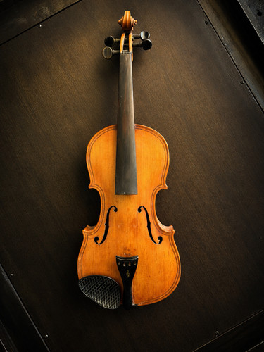 Vintage german violin - violin, project
