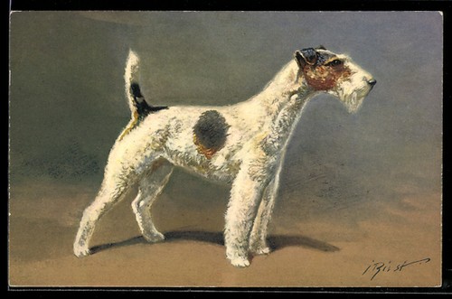 Carte postale artiste - carte, d'artiste