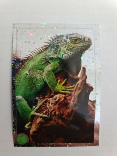 Image sticker autocollant