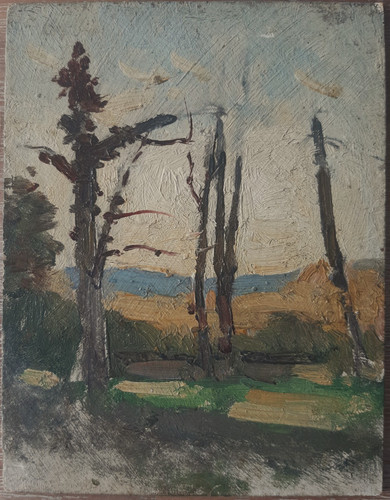 Raymond verdun miniature - raymond,