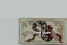 Chromo Chocolaterie d"AIGUEBELLE - Reptiles : BOA CONSTRICTOR