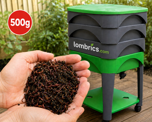 Lombrics 500g vers - lombrics,