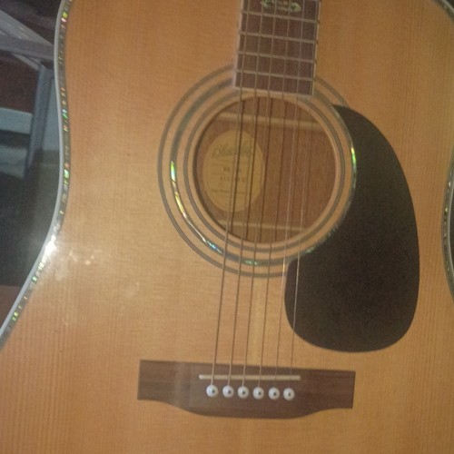 Blueridge dreadnought - br-70,