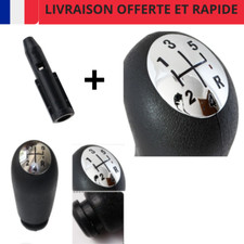 POMMEAU CHROME DE LEVIER DE