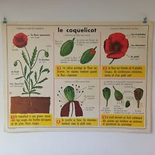 Affiche pédagogique, scolaire