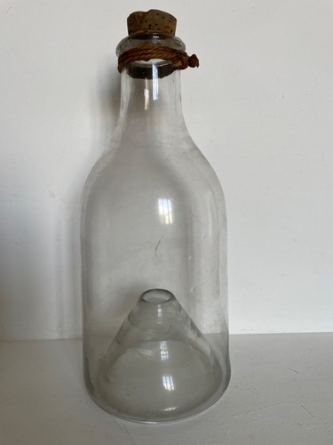 Bouteille vairons goujons - vairons, et