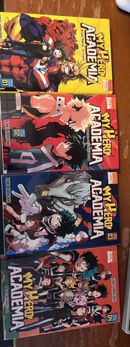 Hero academia - hero,
