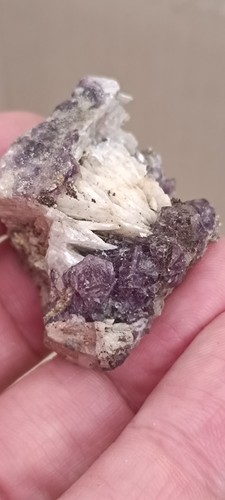 Lot fluorines barytine - lot, 26