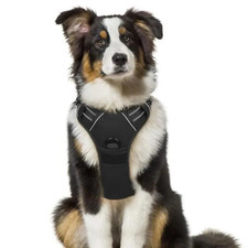 Harnais Chien Gilet pour Chien Noir Taille M Réglable Réfléchissant Respirant