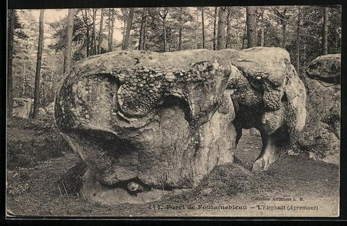 éléphant dans la - l,