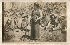 AK* Araucana soltera (AB)20767