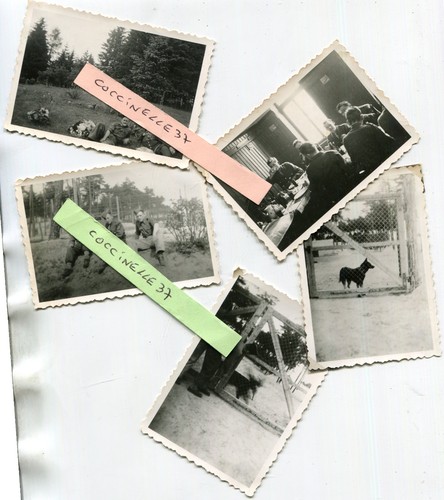 Militaire lot photos - lot, soldats