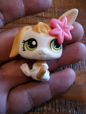 Pet Shop   # LPS Littlest