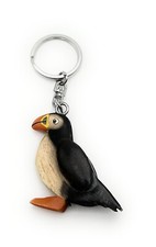 Pinguin Oiseau Animal