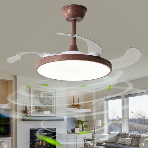 Plafonnier ventilateur - plafonnier, de
