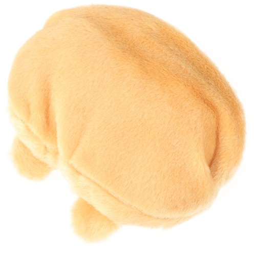 Mignon chien compagnie bout - de,