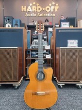 Guitare électrique acoustique