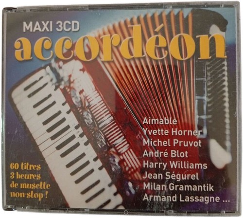 Accordéon bon état - bon,