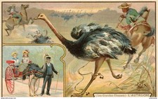 9646 cpa Publicité Chocolat