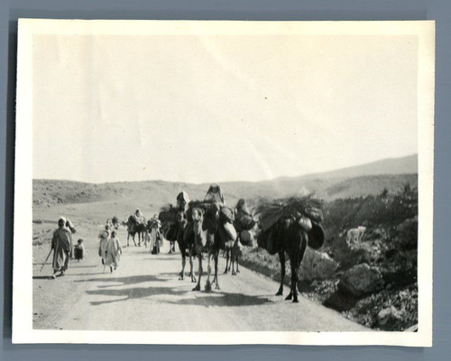Algérie caravane sur la - algérie,,