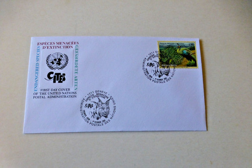 Nations unies 5 - nations, unies.