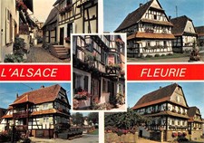 67 ALSACE FLEURIE