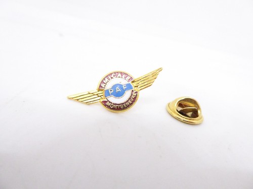 Pin pins badge - pin's,