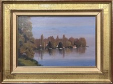 Landscape Riverside Forest