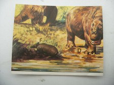 Stikers album PANINI 1992