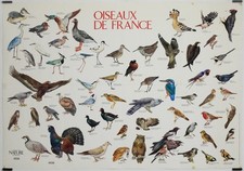 Oiseaux de France 1985 Affiche