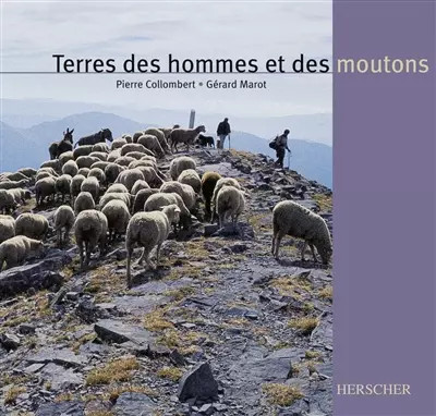 Terre hommes moutons - terre,,