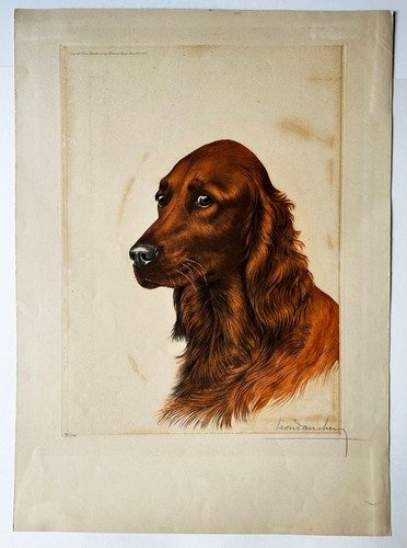 Chasse léon danchin - danchin, (1887