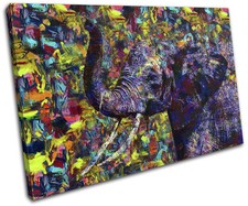 Elephant Colourful Paint