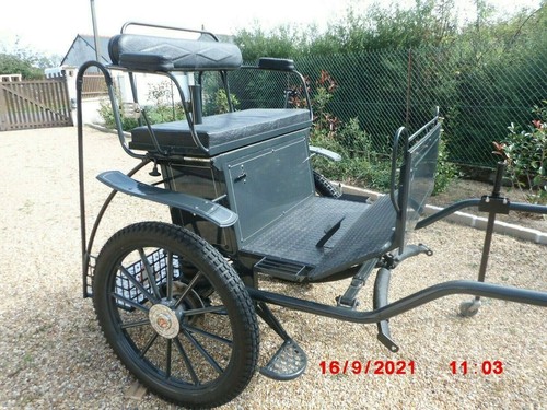 Voiture hippomobile marathon - voiture,