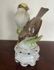 Deux oiseaux polychrome sur