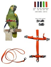 Bavoir Élastique Boucle