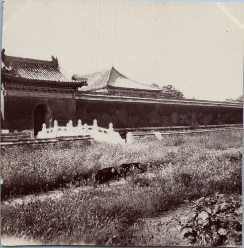 Chine pékin temple - chine,, ciel