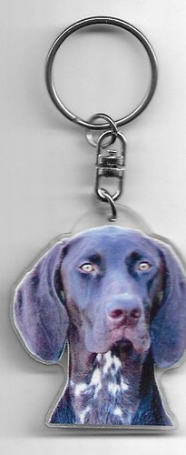 Braque allemand chien porte - ,