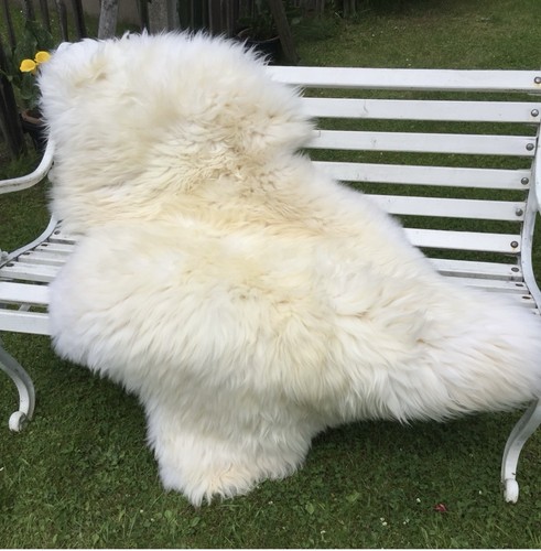 Peau mouton - mouton,,
