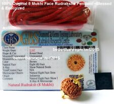 8 Mukhi rudraksha / Eight Face