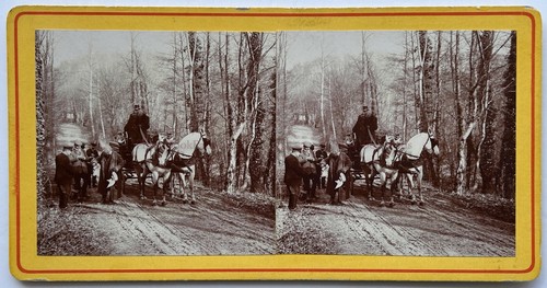 Attelage chevaux bois - attelage, c1900