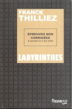 Labyrinthes. Franck THILLIEZ