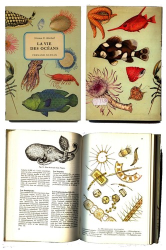 Livre vie des oceans de - vie, oceans"