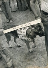 PHoto Presse NVT Keystone 1975 Manifs Paris CGT CFDT contre Répression Chien