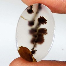 100% Naturel Scenic Dendritique Agate Forme Ovale Gemme 7.45 CT 12x18x3 MM Ce170