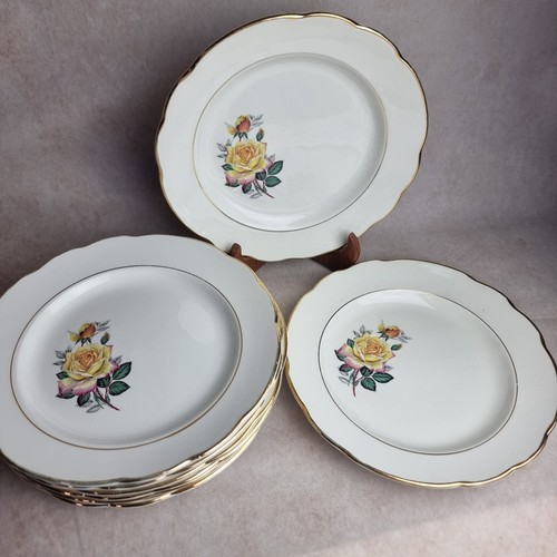 Lot assiette plate - 12,