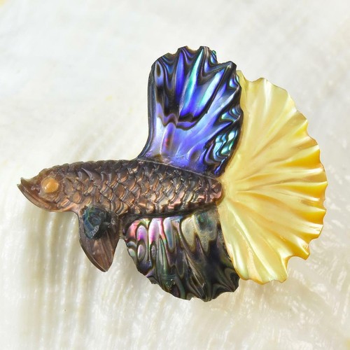 Siamois combattant poisson - siamois,