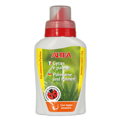 Altea cycas palmiers - altea, et